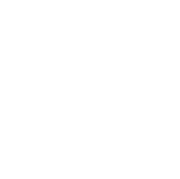 ImpactRise Foundation Logo